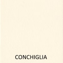 giallo conchiglia