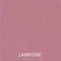 viola lampone