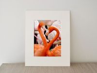 images/FOTOGRAFI/passalibro/passepartout-a-libro-1.2